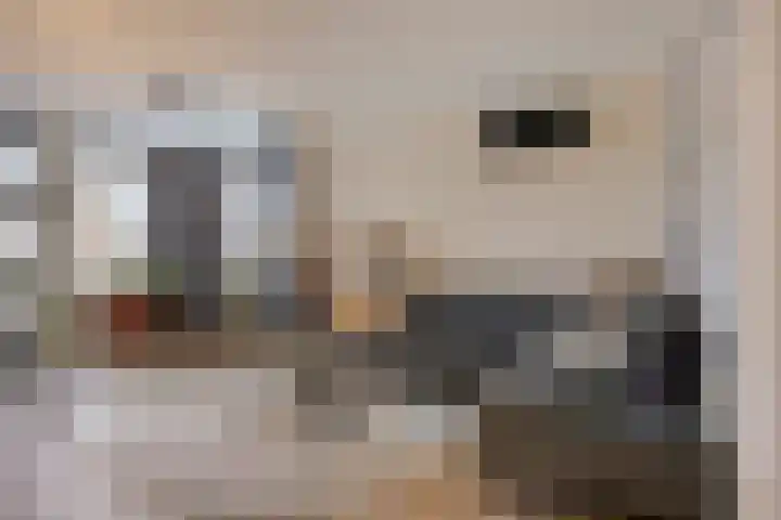 Tijmveld 48 Veghel thumbnail 10