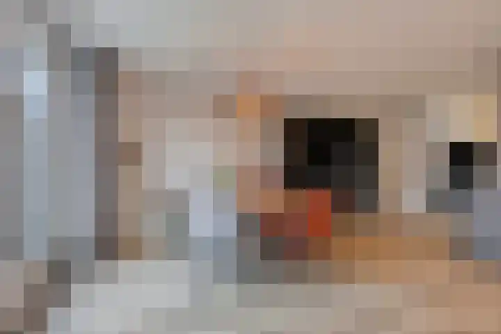 Tijmveld 48 Veghel thumbnail 16
