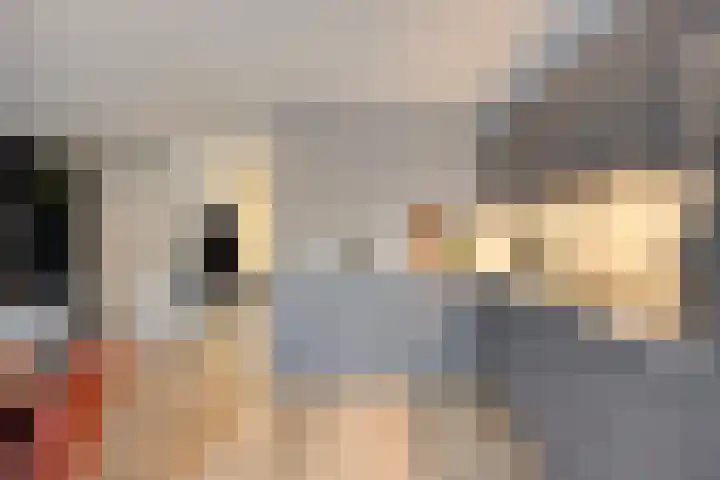 Tijmveld 48 Veghel thumbnail 17