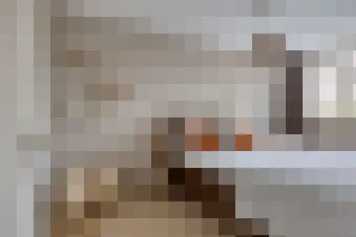 Tijmveld 48 Veghel thumbnail 26
