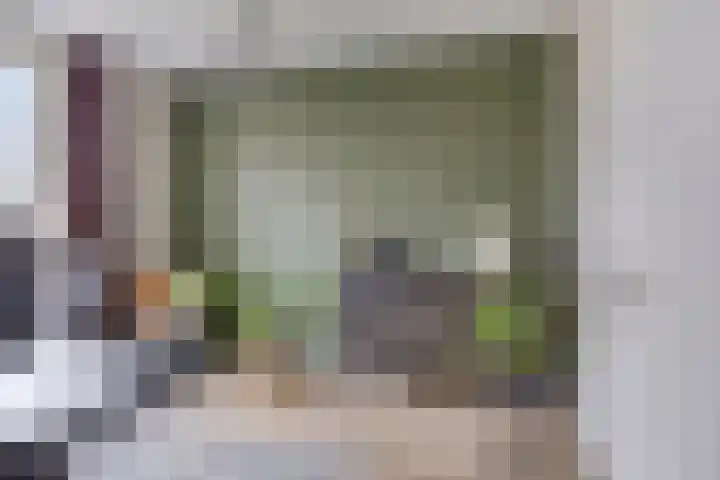 Tijmveld 48 Veghel thumbnail 32