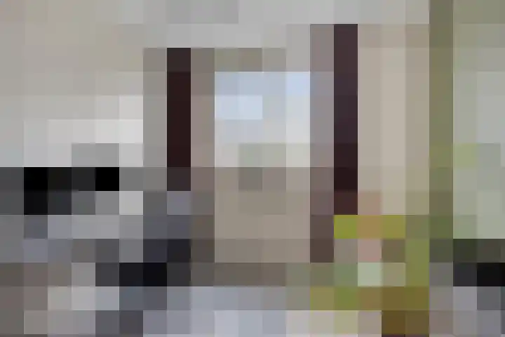 Tijmveld 48 Veghel thumbnail 33