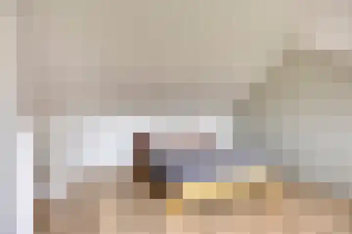 Tijmveld 48 Veghel thumbnail 34