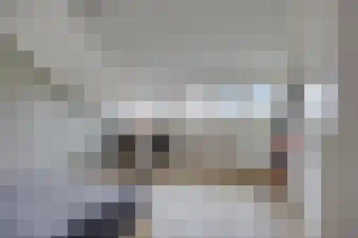 Tijmveld 48 Veghel thumbnail 37