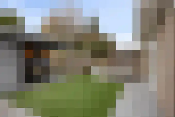 Tijmveld 48 Veghel thumbnail 38