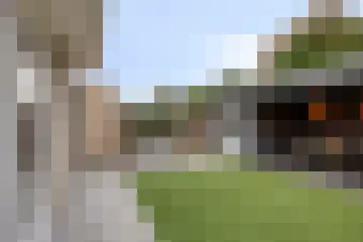 Tijmveld 48 Veghel thumbnail 39