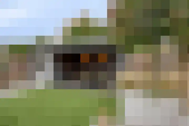 Tijmveld 48 Veghel thumbnail 40