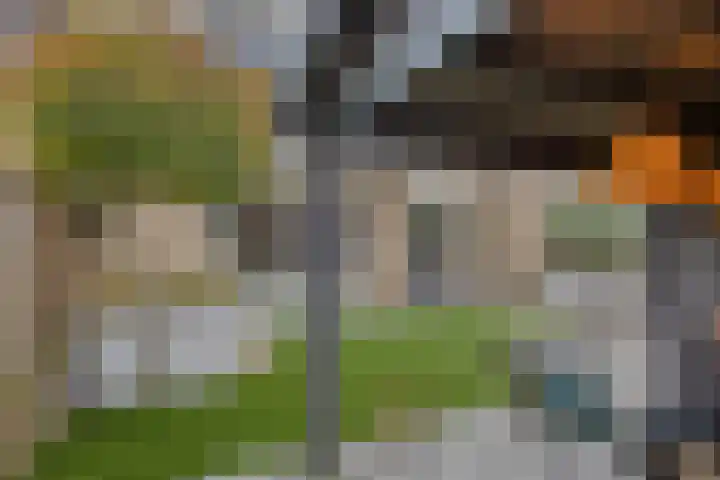 Tijmveld 48 Veghel thumbnail 41