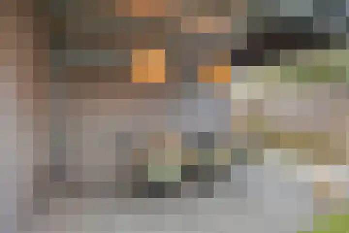 Tijmveld 48 Veghel thumbnail 43
