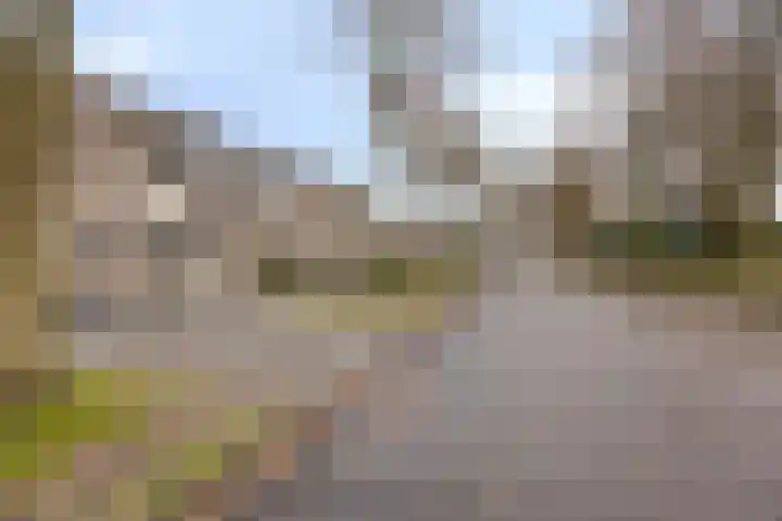 Tijmveld 48 Veghel thumbnail 47