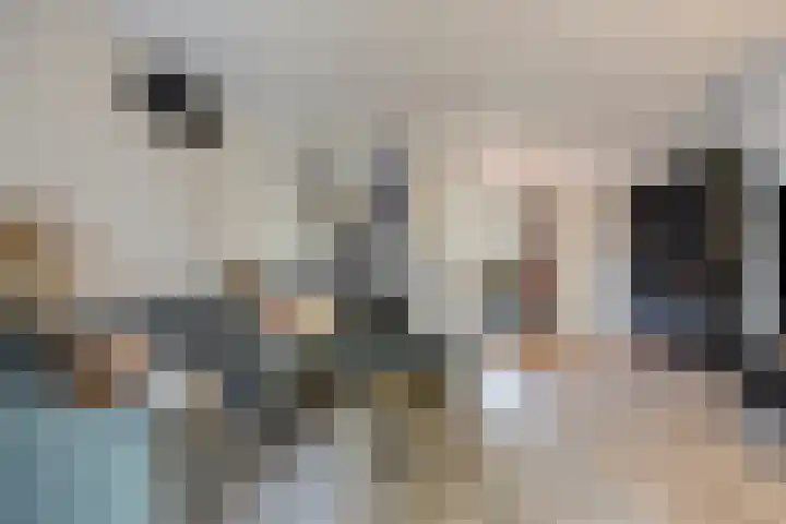 Tijmveld 48 Veghel thumbnail 8