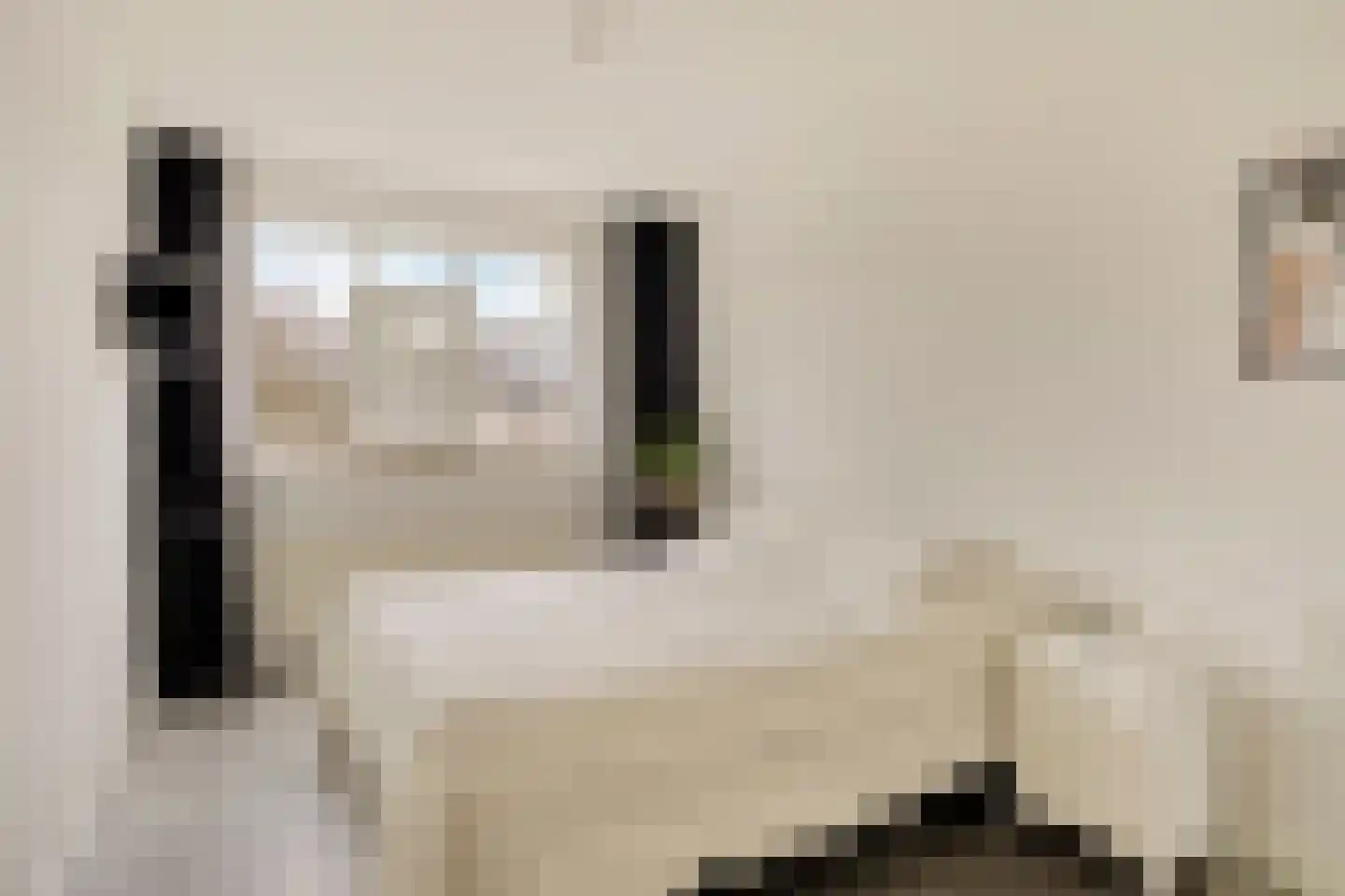Tijmveld 54 Veghel thumbnail 10