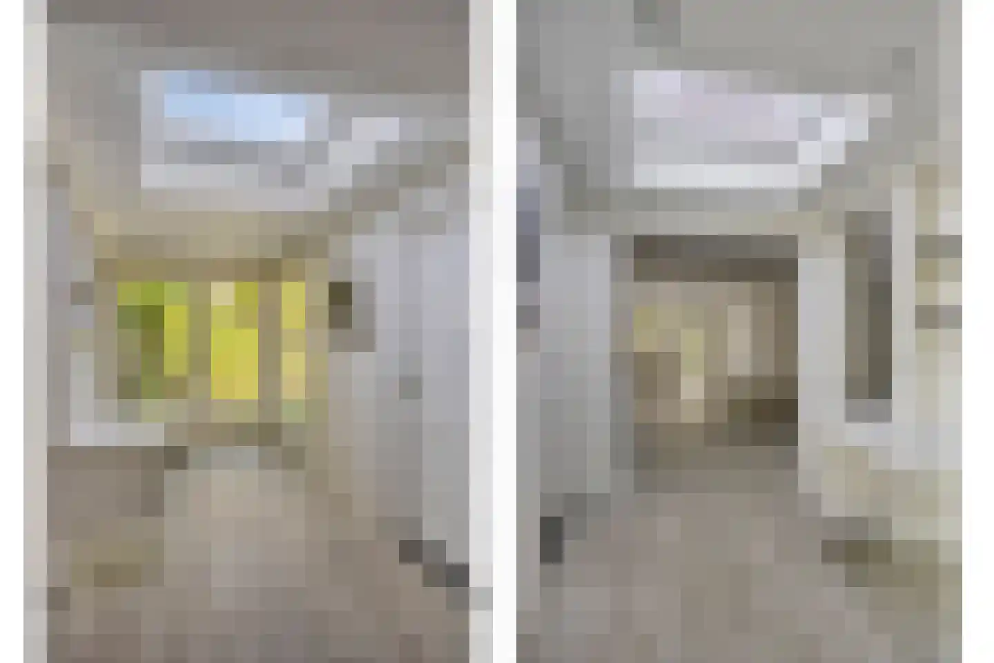 Tijmveld 54 Veghel thumbnail 13