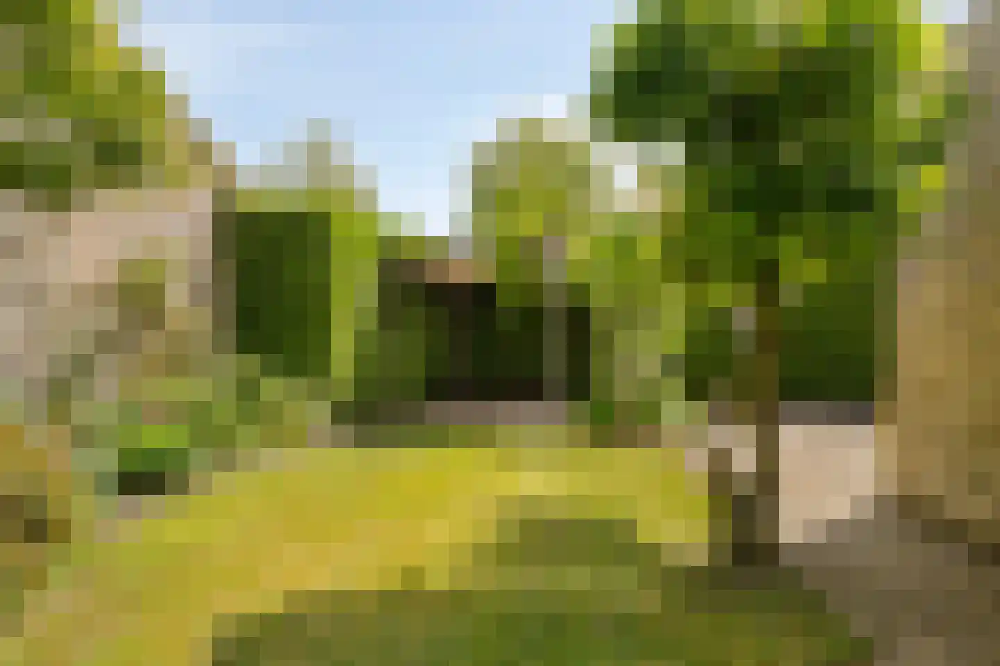 Tijmveld 54 Veghel thumbnail 20