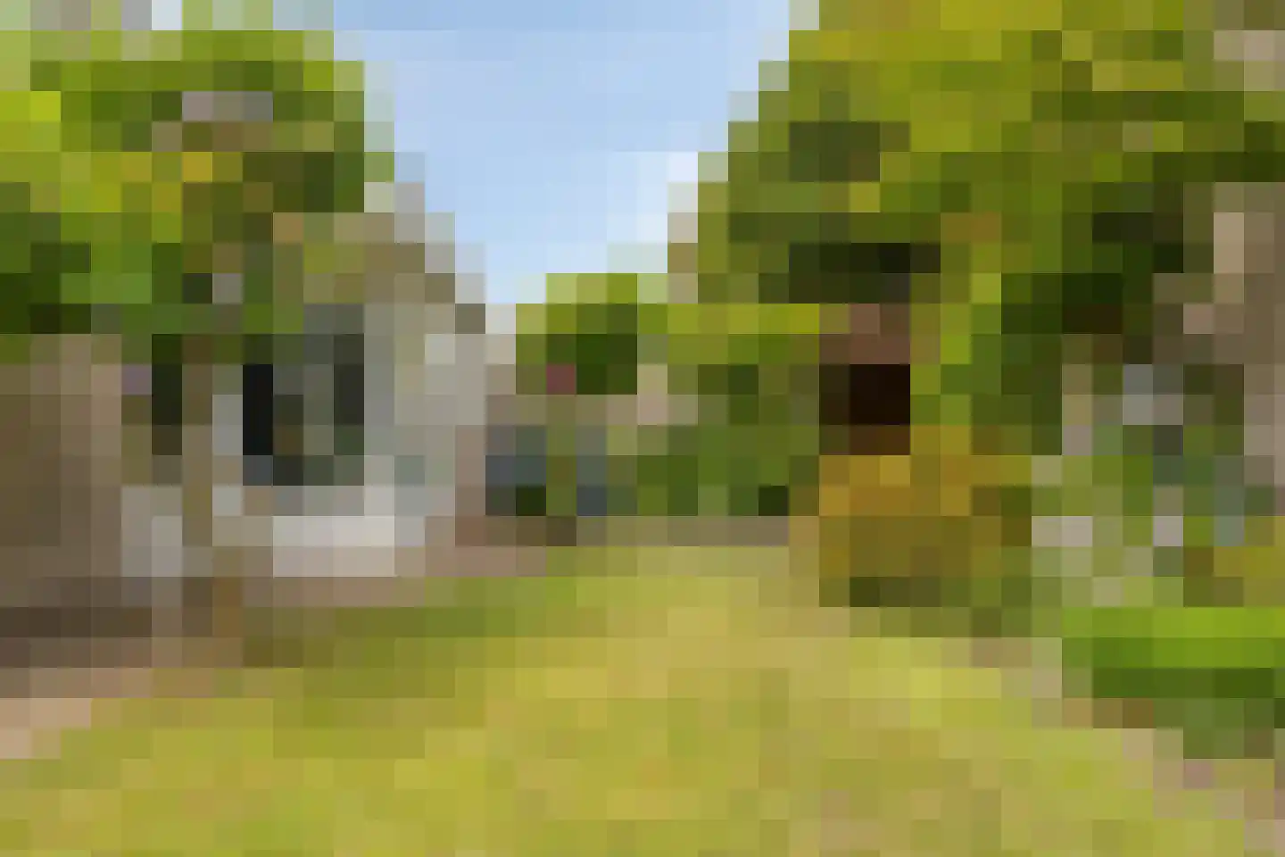 Tijmveld 54 Veghel thumbnail 21