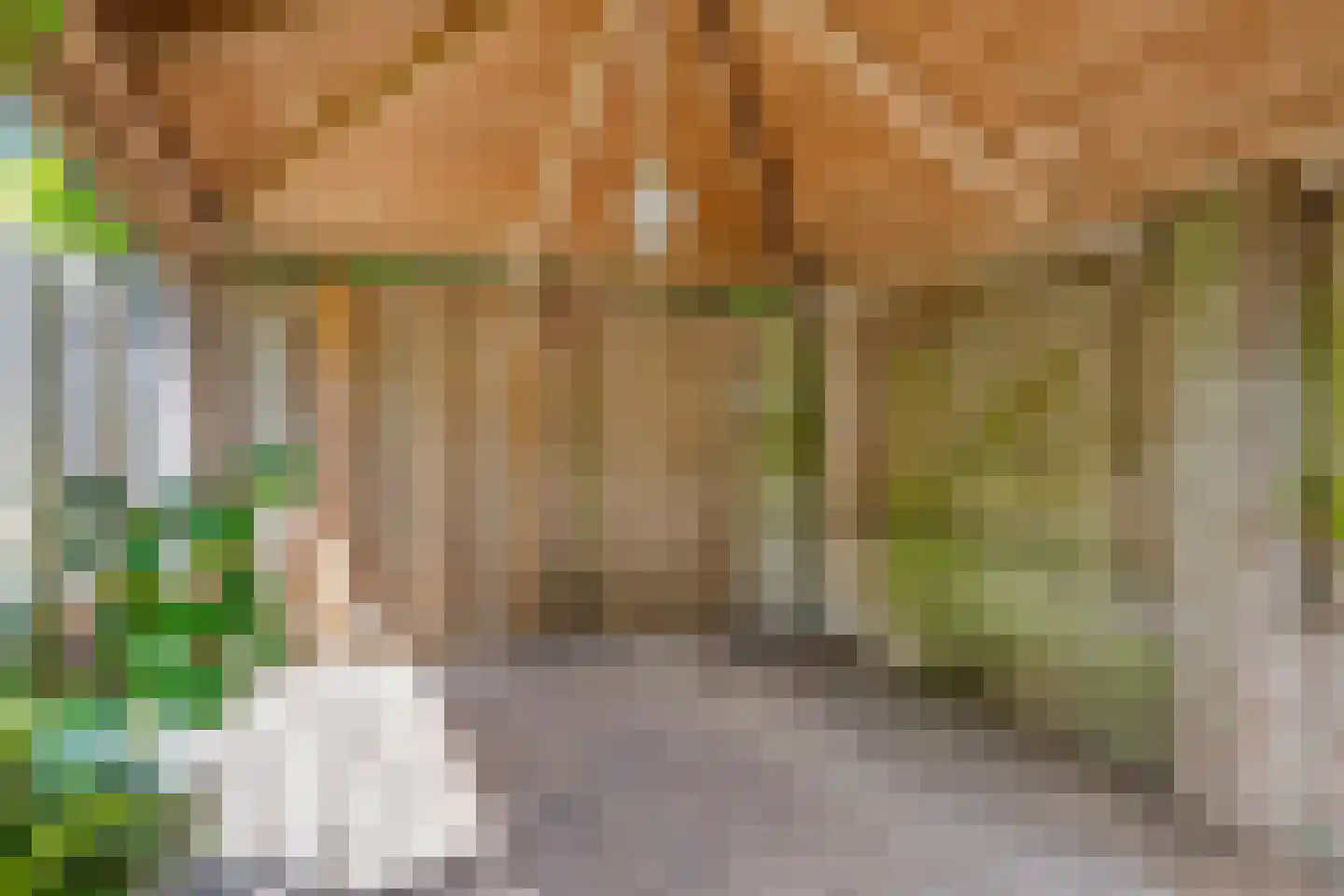Tijmveld 54 Veghel thumbnail 22