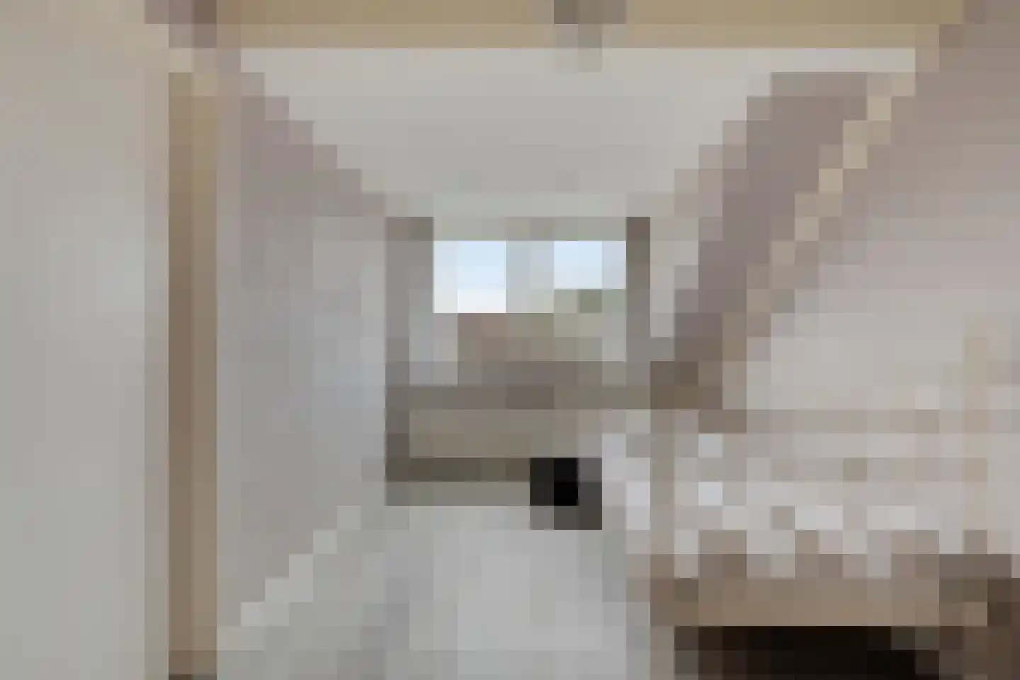 Tijmveld 54 Veghel thumbnail 23