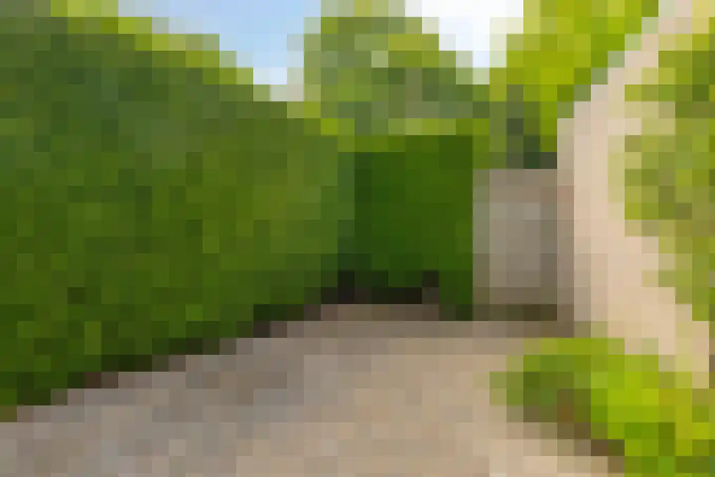 Tijmveld 54 Veghel thumbnail 24