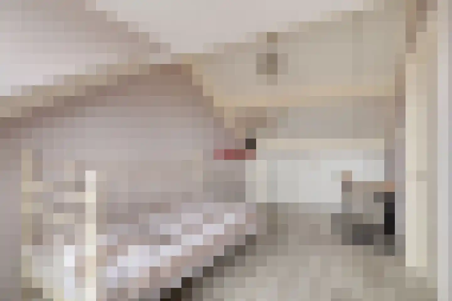 Tijmveld 54 Veghel thumbnail 24