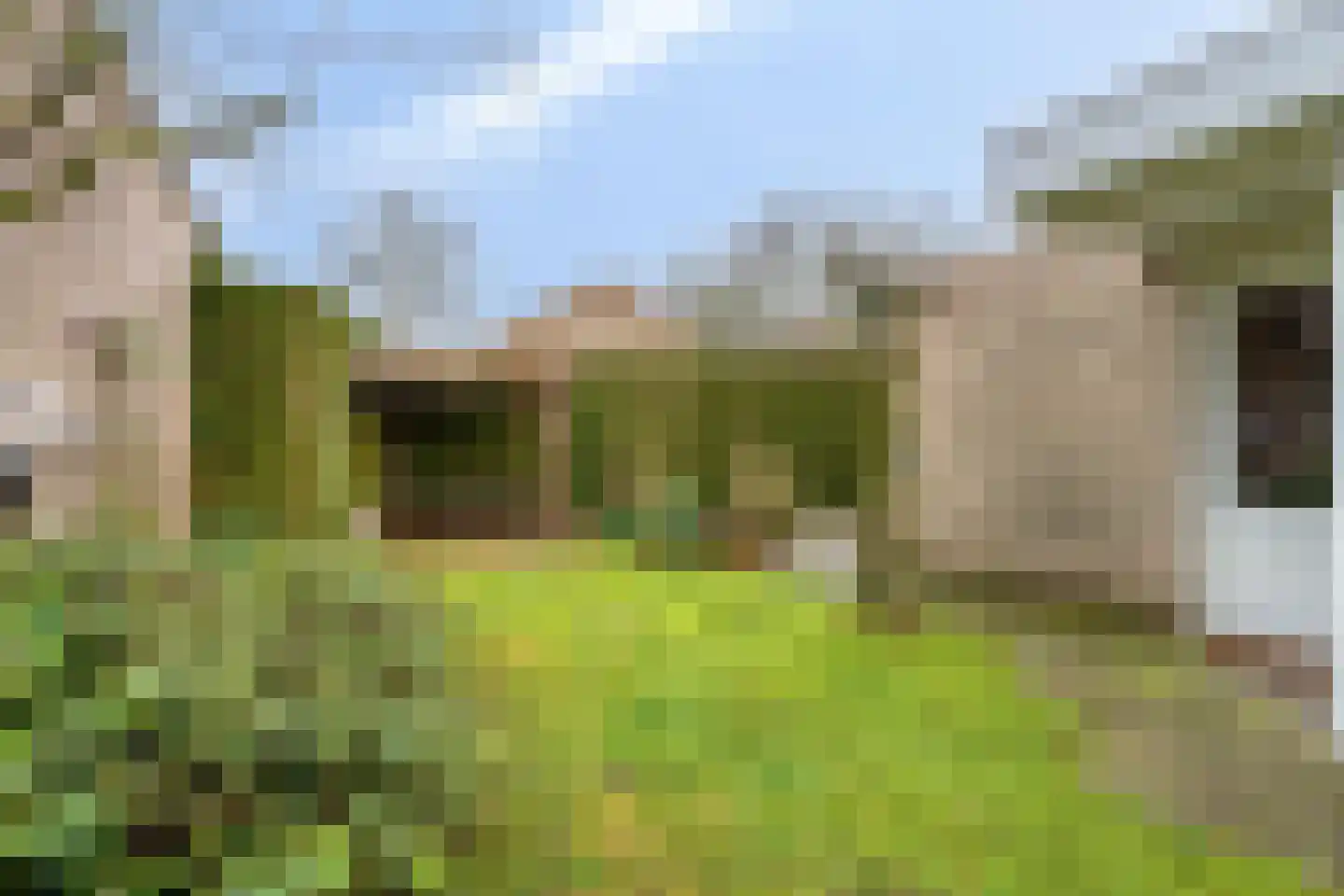 Tijmveld 54 Veghel thumbnail 26