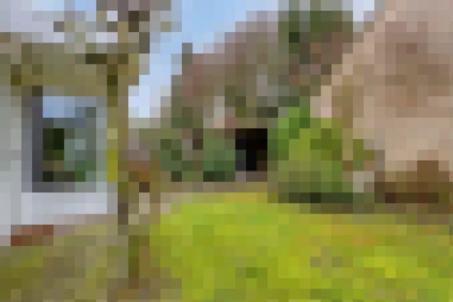 Tijmveld 54 Veghel thumbnail 27