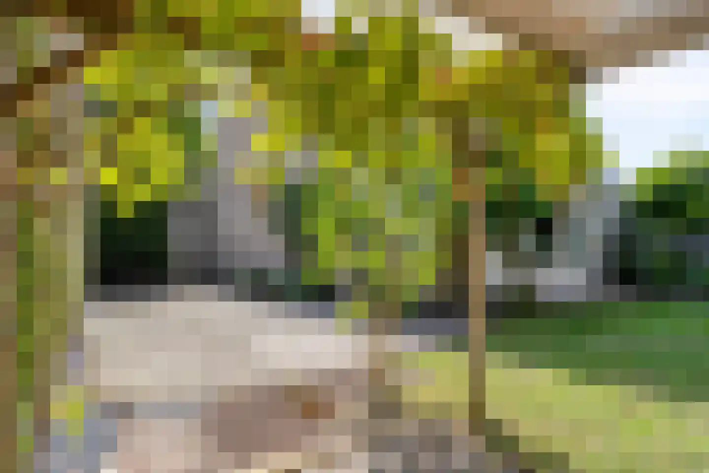 Tijmveld 54 Veghel thumbnail 30