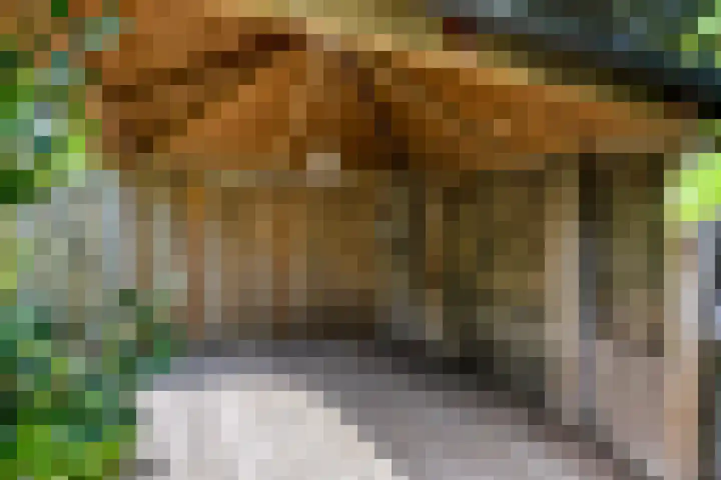 Tijmveld 54 Veghel thumbnail 32