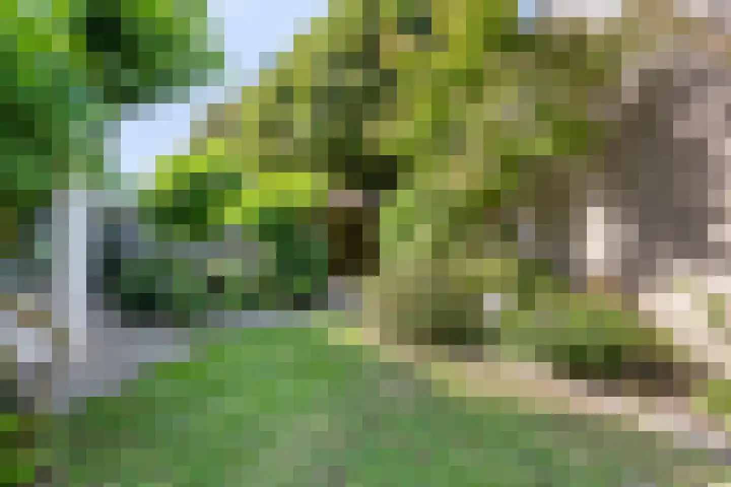 Tijmveld 54 Veghel thumbnail 35
