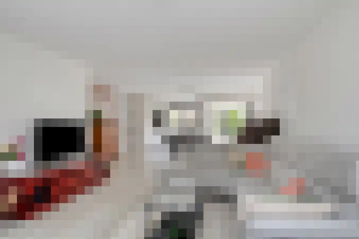 Tijmveld 54 Veghel thumbnail 5
