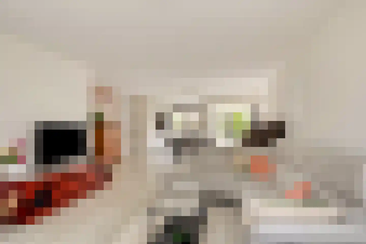Tijmveld 54 Veghel thumbnail 5