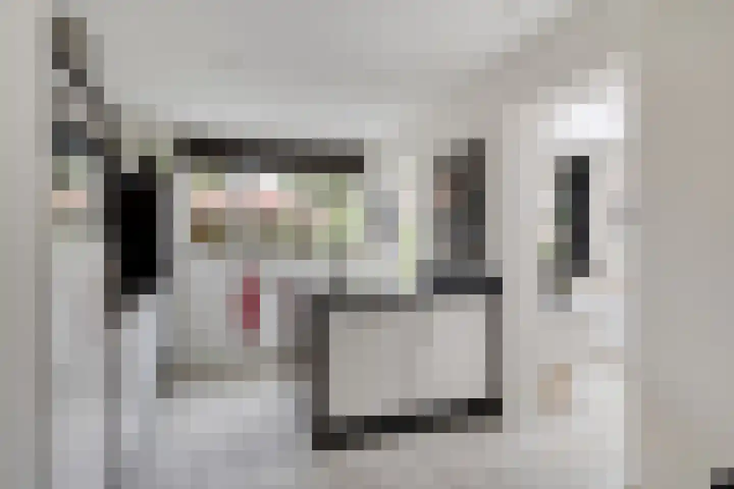 Tijmveld 54 Veghel thumbnail 7