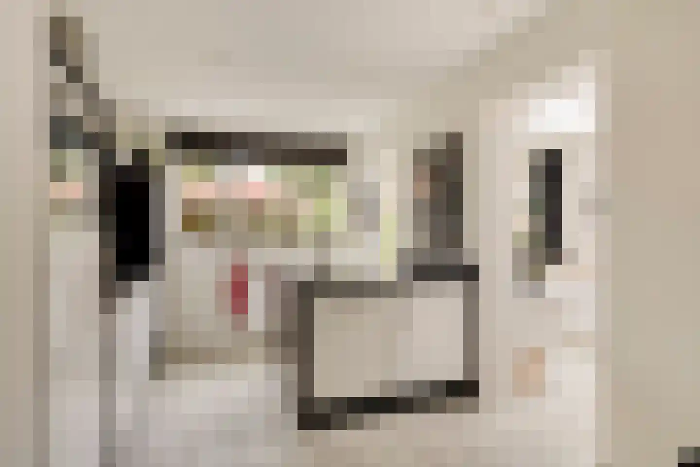 Tijmveld 54 Veghel thumbnail 7