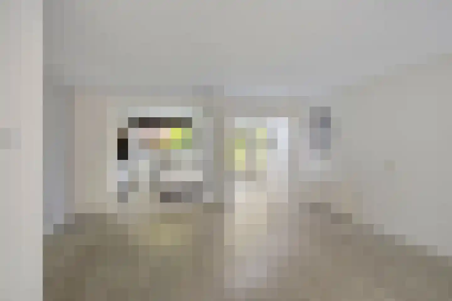 Tijmveld 54 Veghel thumbnail 7