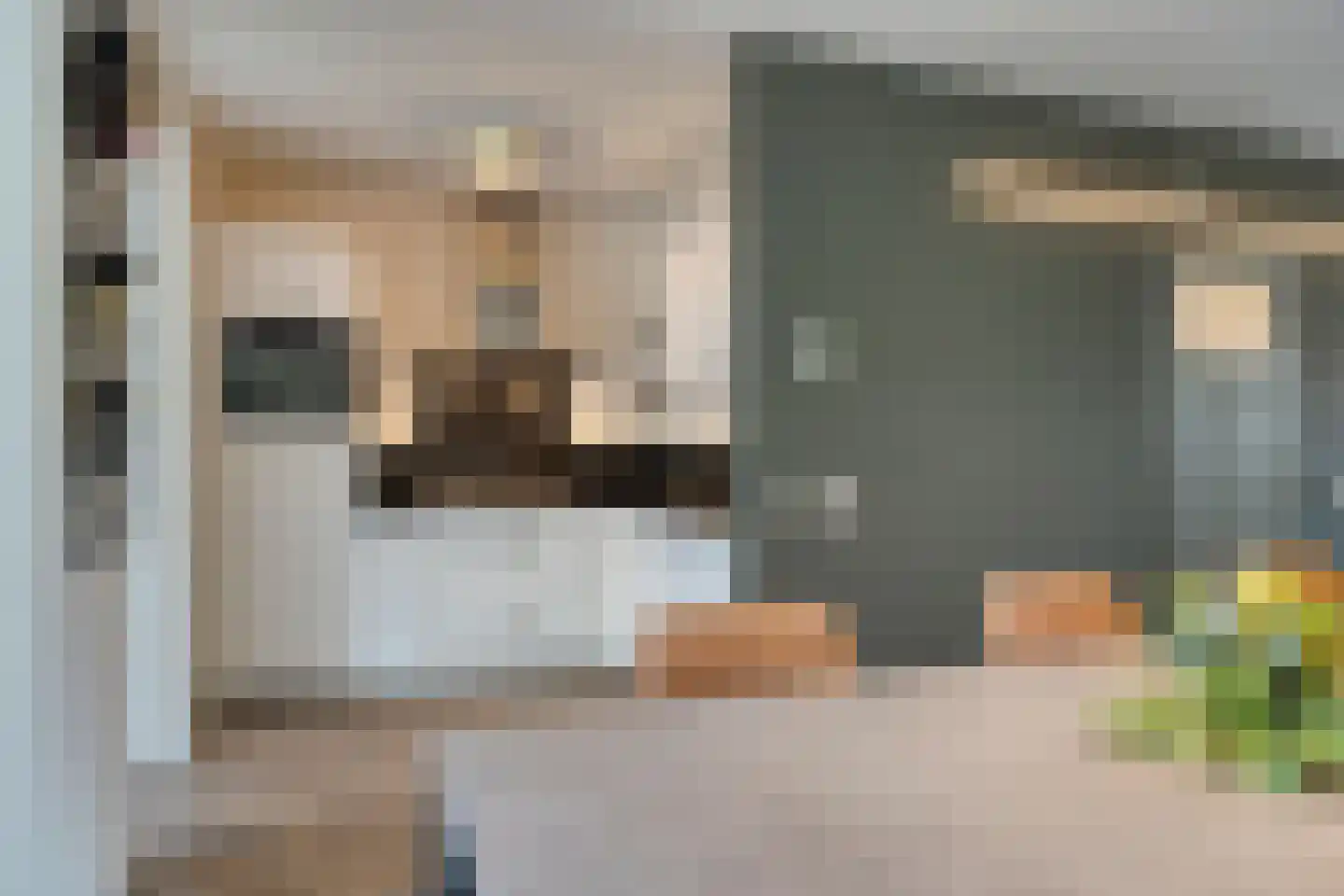 Tijmveld 61 Veghel thumbnail 13