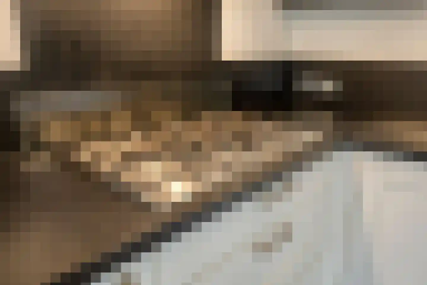 Tijmveld 61 Veghel thumbnail 15