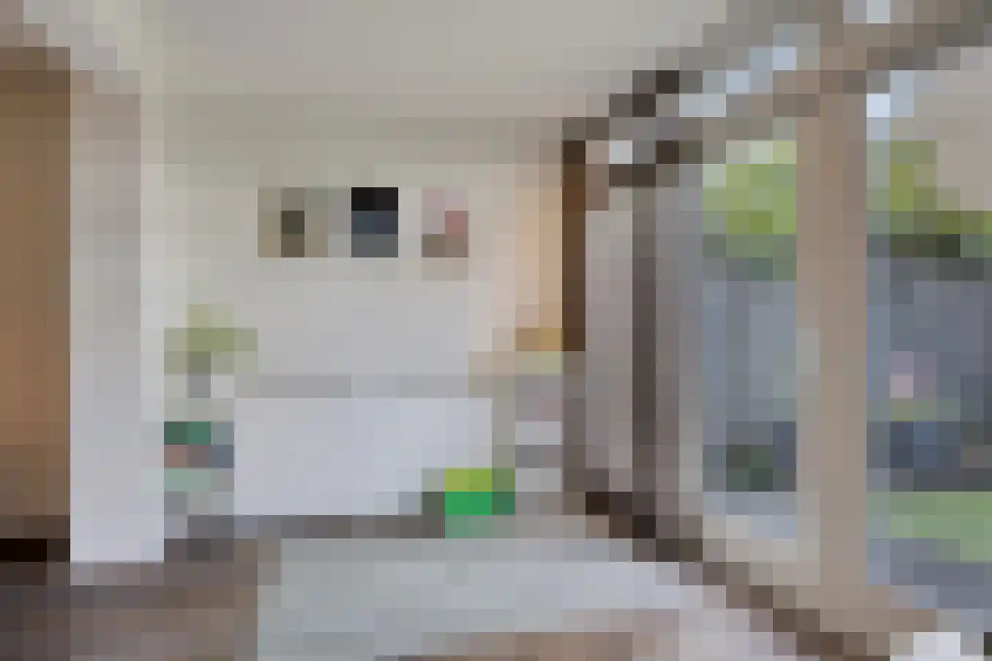 Tijmveld 61 Veghel thumbnail 18