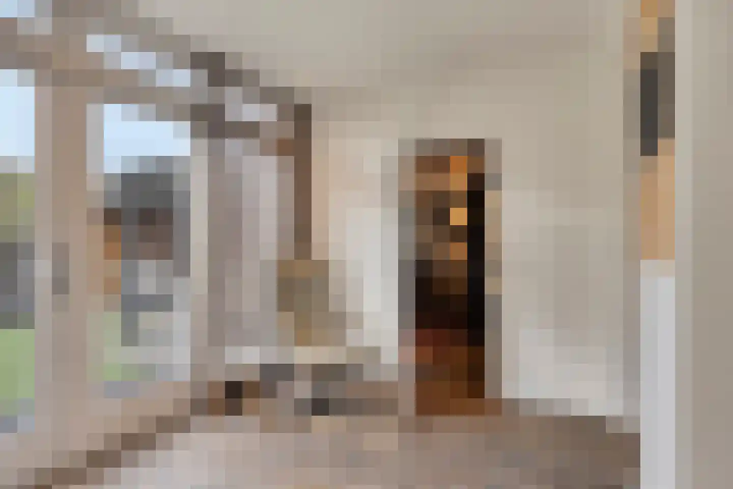 Tijmveld 61 Veghel thumbnail 19