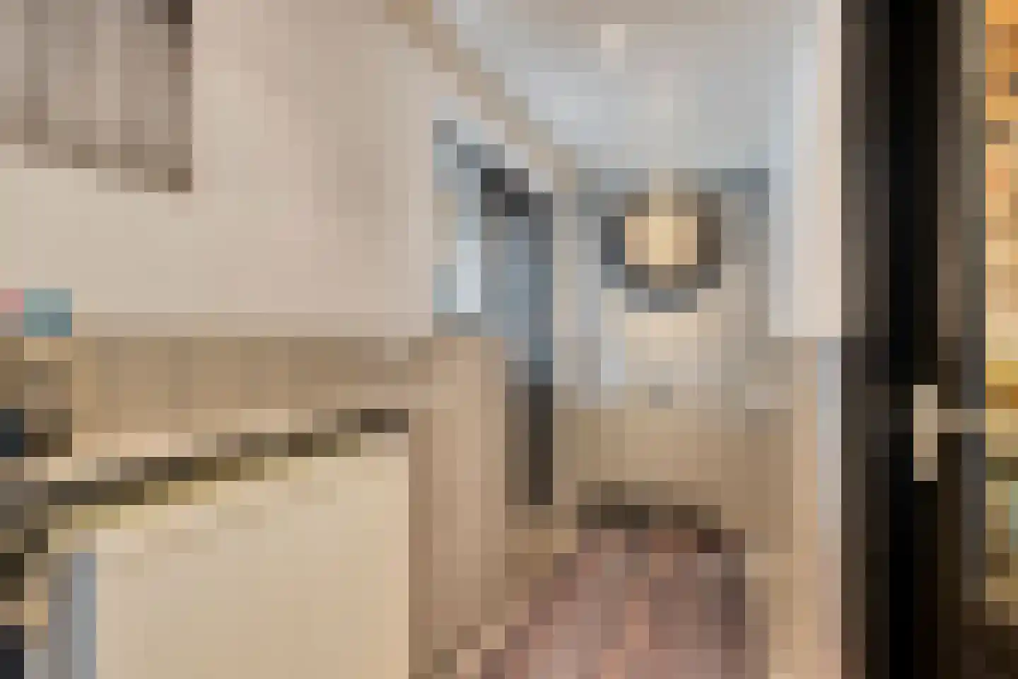 Tijmveld 61 Veghel thumbnail 20