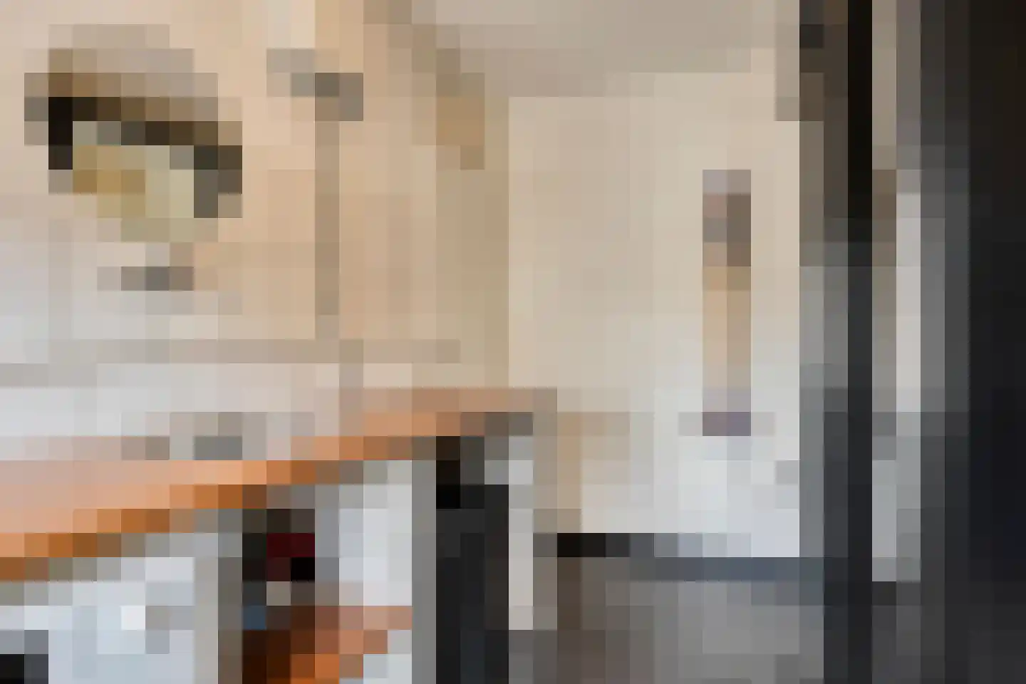 Tijmveld 61 Veghel thumbnail 28