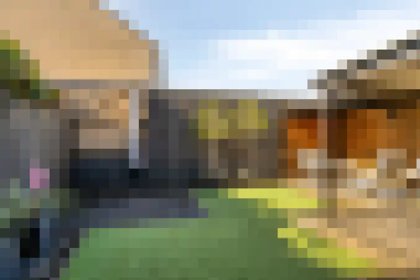 Tijmveld 61 Veghel thumbnail 39
