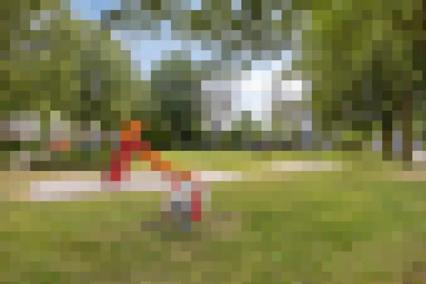 Tijmveld 61 Veghel thumbnail 45