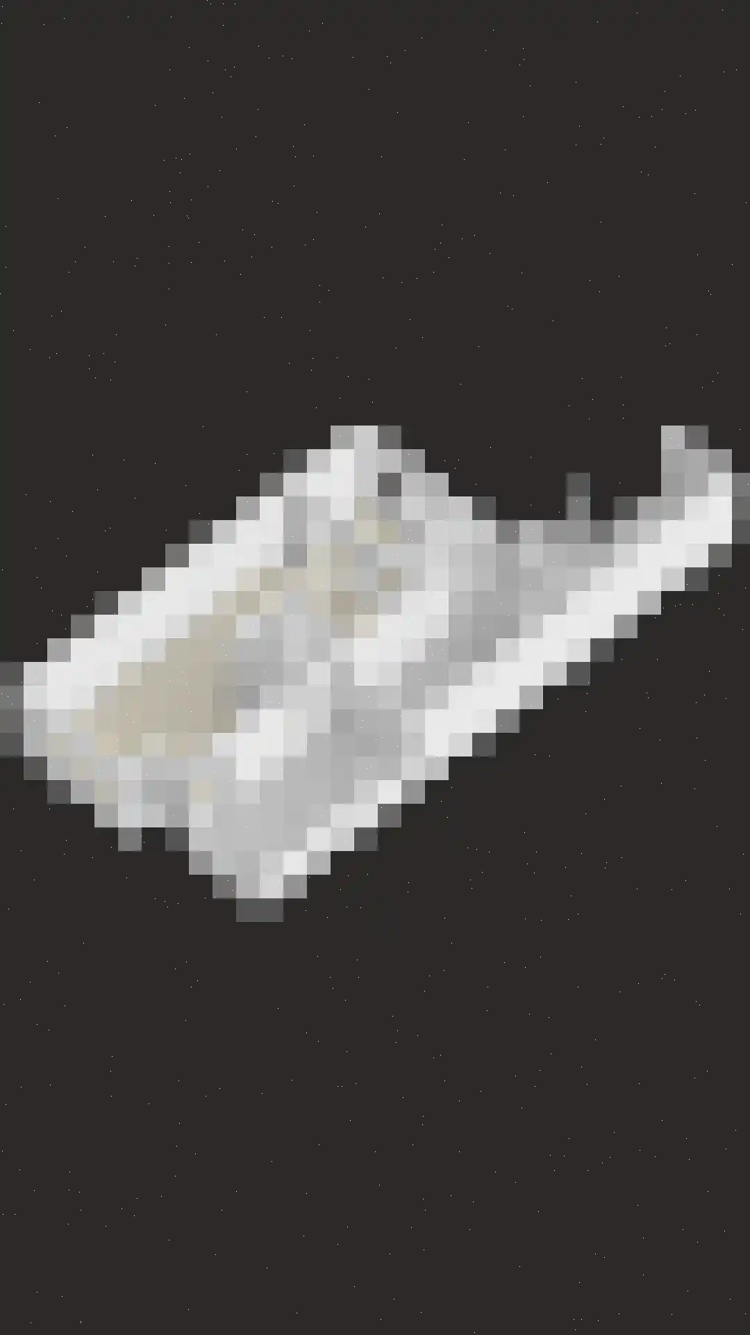 Tijmveld 61 Veghel thumbnail 49