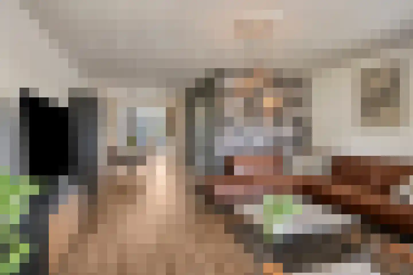 Tijmveld 61 Veghel thumbnail 8
