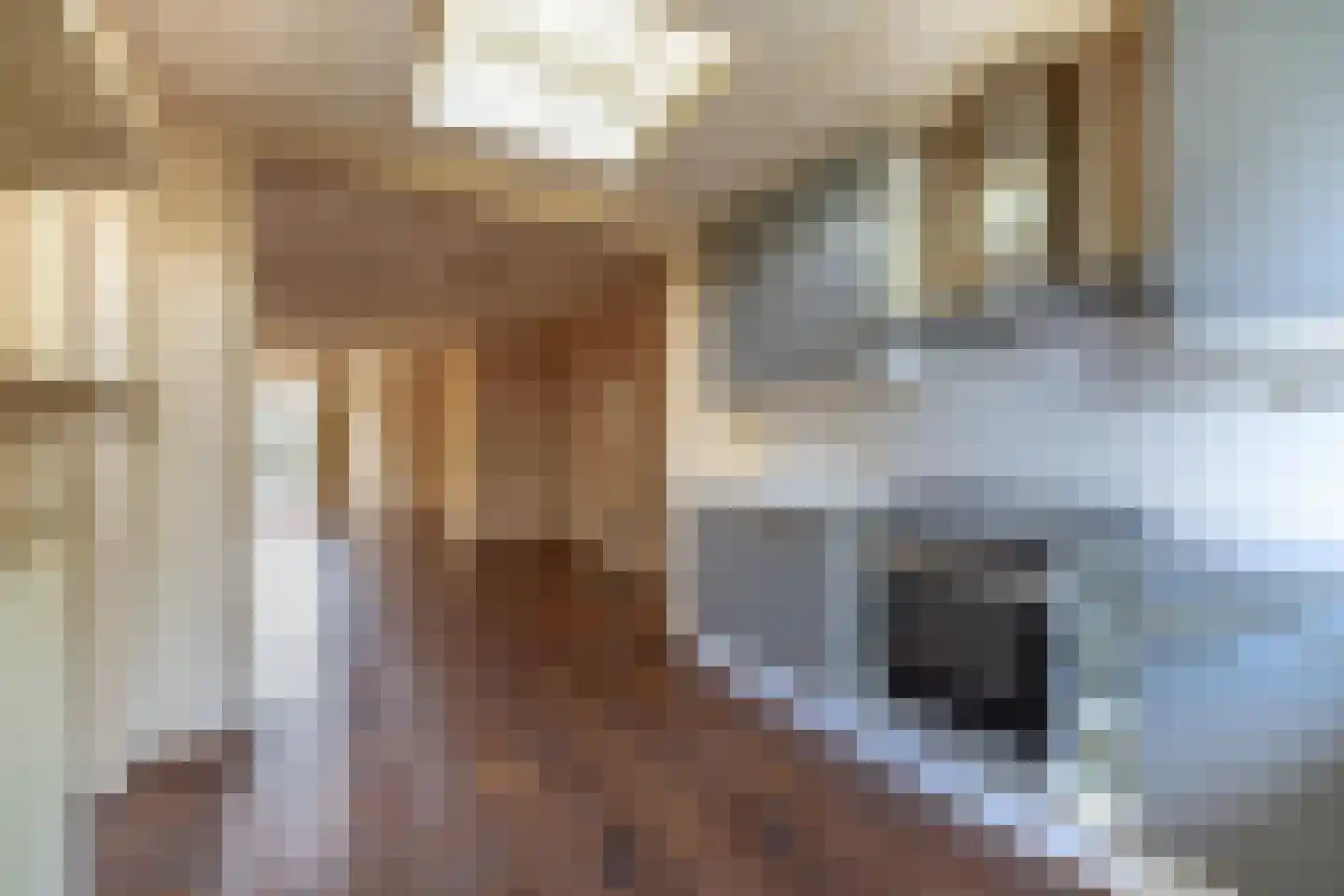 Tijmveld 66 Veghel thumbnail 18