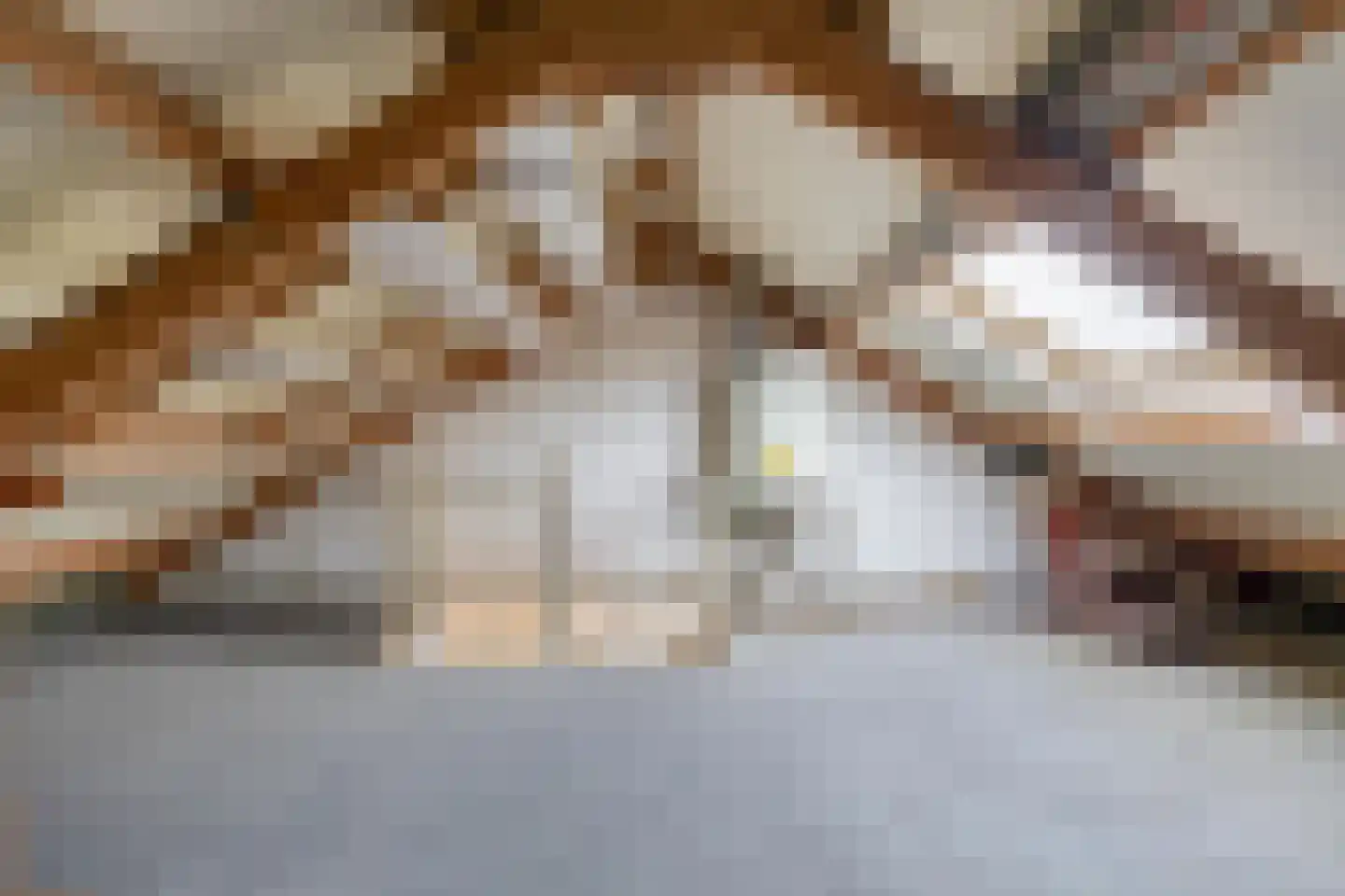 Tijmveld 66 Veghel thumbnail 30