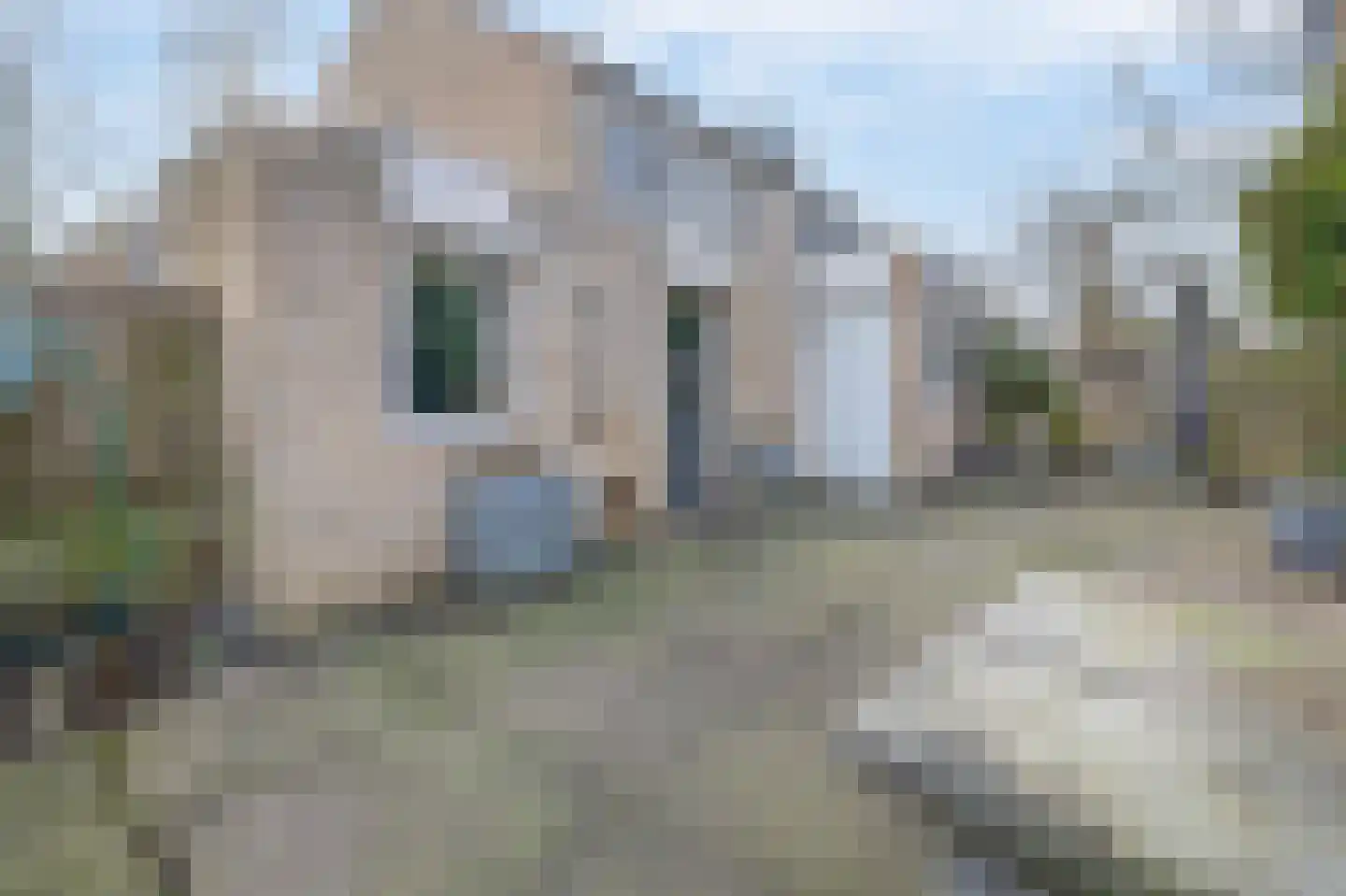 Tijmveld 66 Veghel thumbnail 32