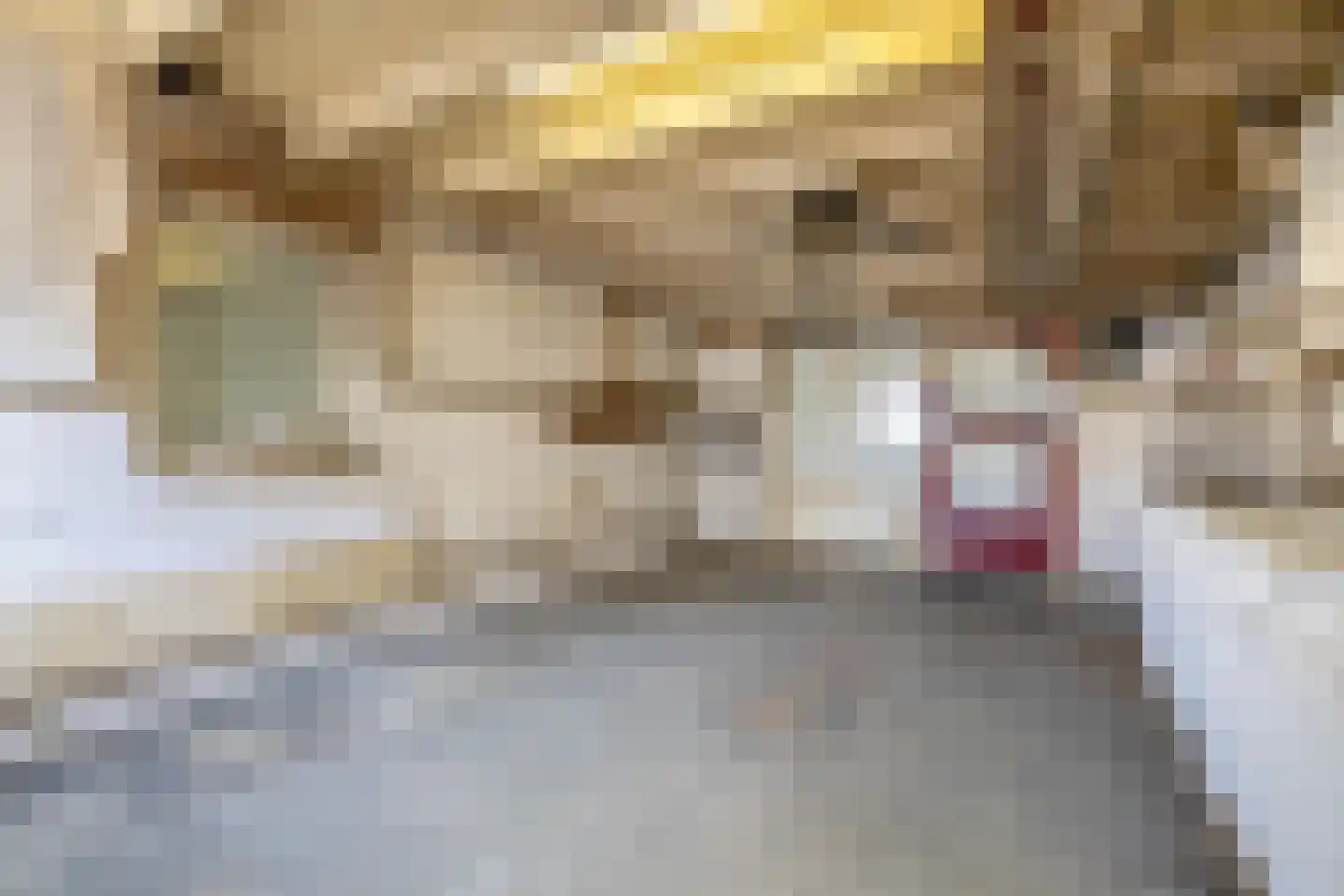 Tijmveld 66 Veghel thumbnail 38