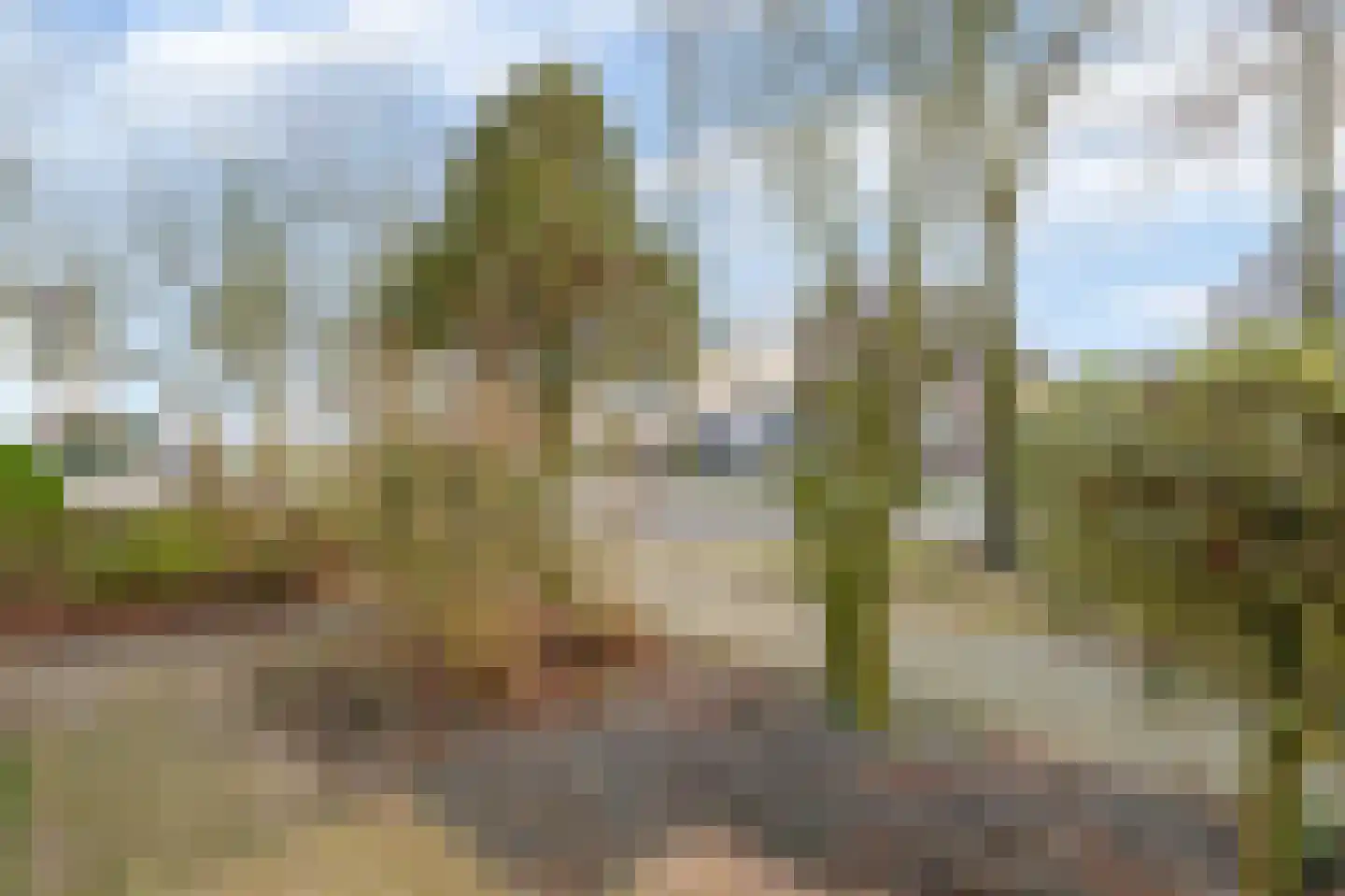Tijmveld 66 Veghel thumbnail 4