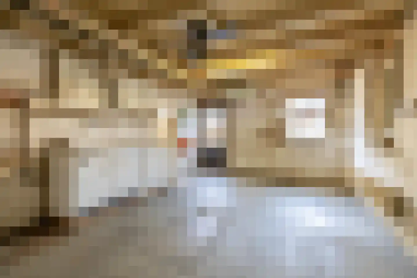 Tijmveld 66 Veghel thumbnail 41