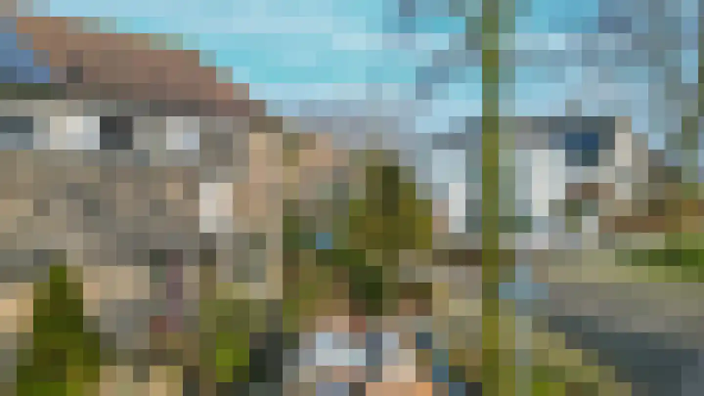 Tijmveld 66 Veghel thumbnail 43